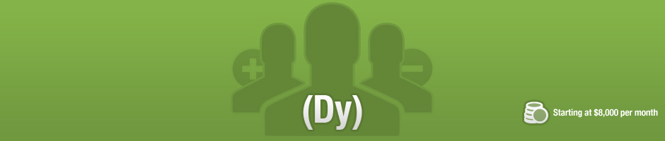 Dyn-dev_header